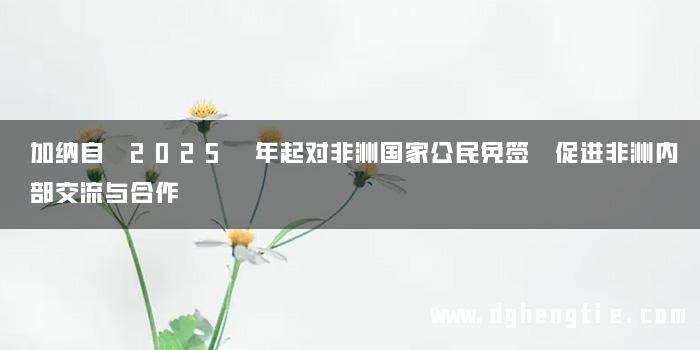 加纳自 2025 年起对非洲国家公民免签 促进非洲内部交流与合作